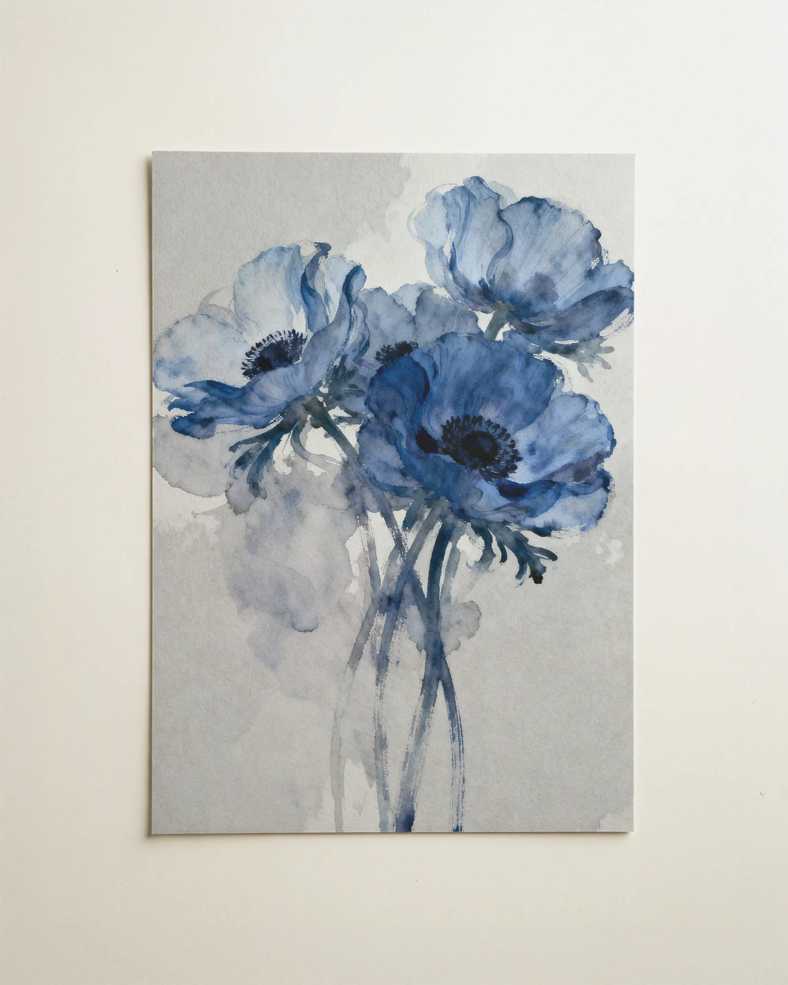Anemone in Grau