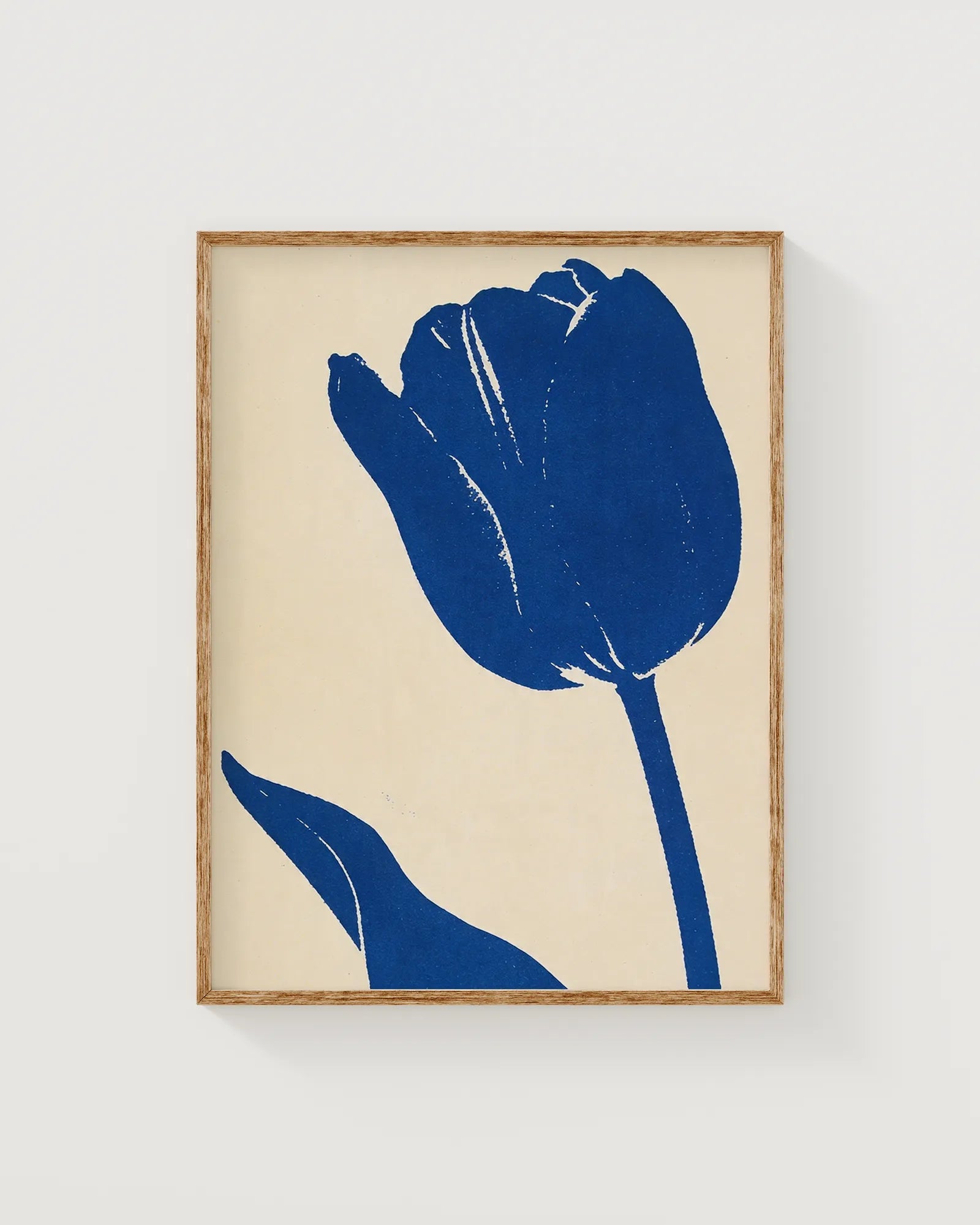 Blaue Tulpe