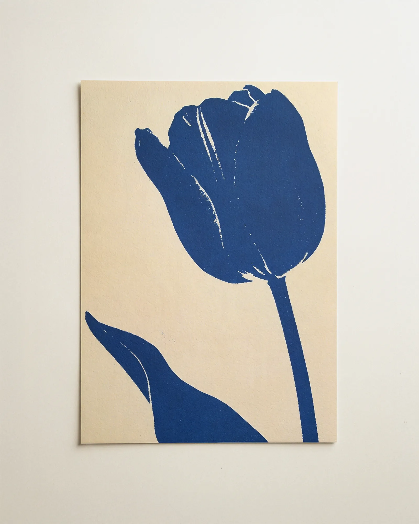 Blaue Tulpe