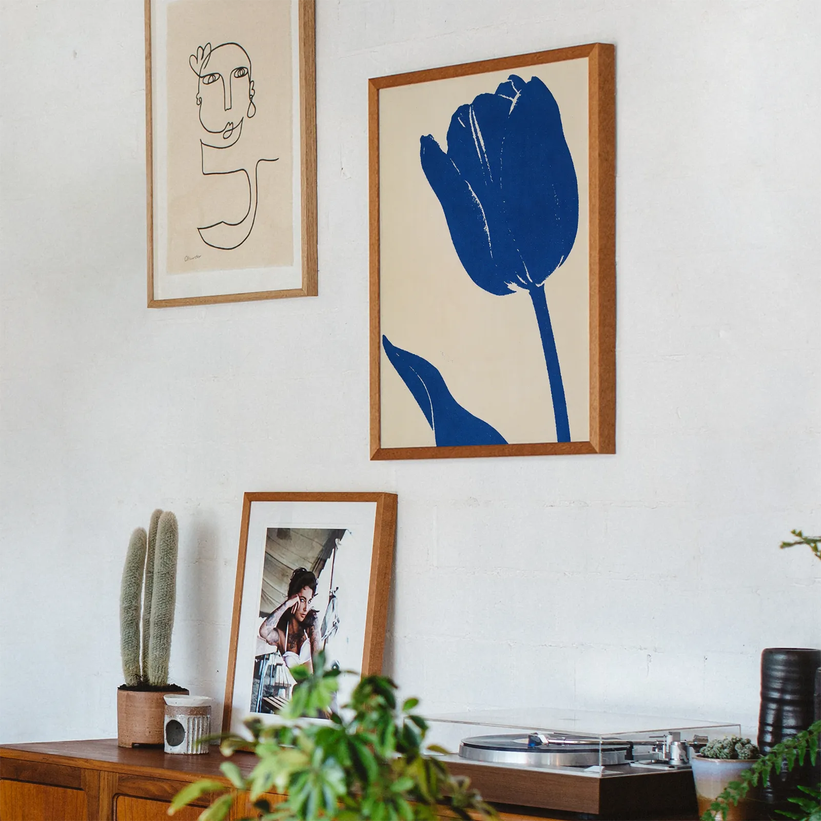 Blaue Tulpe
