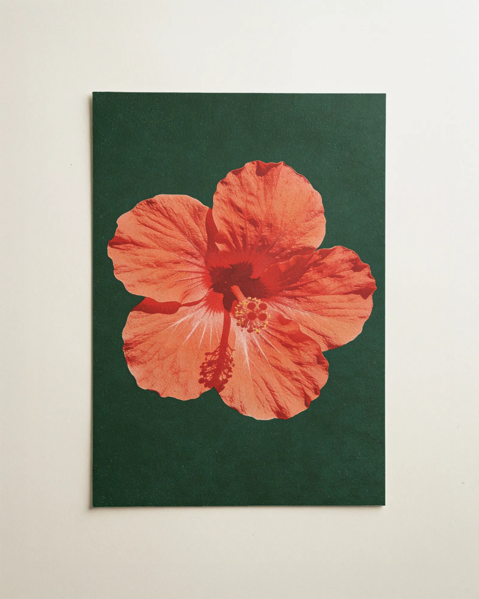 Hibiskus in Grün