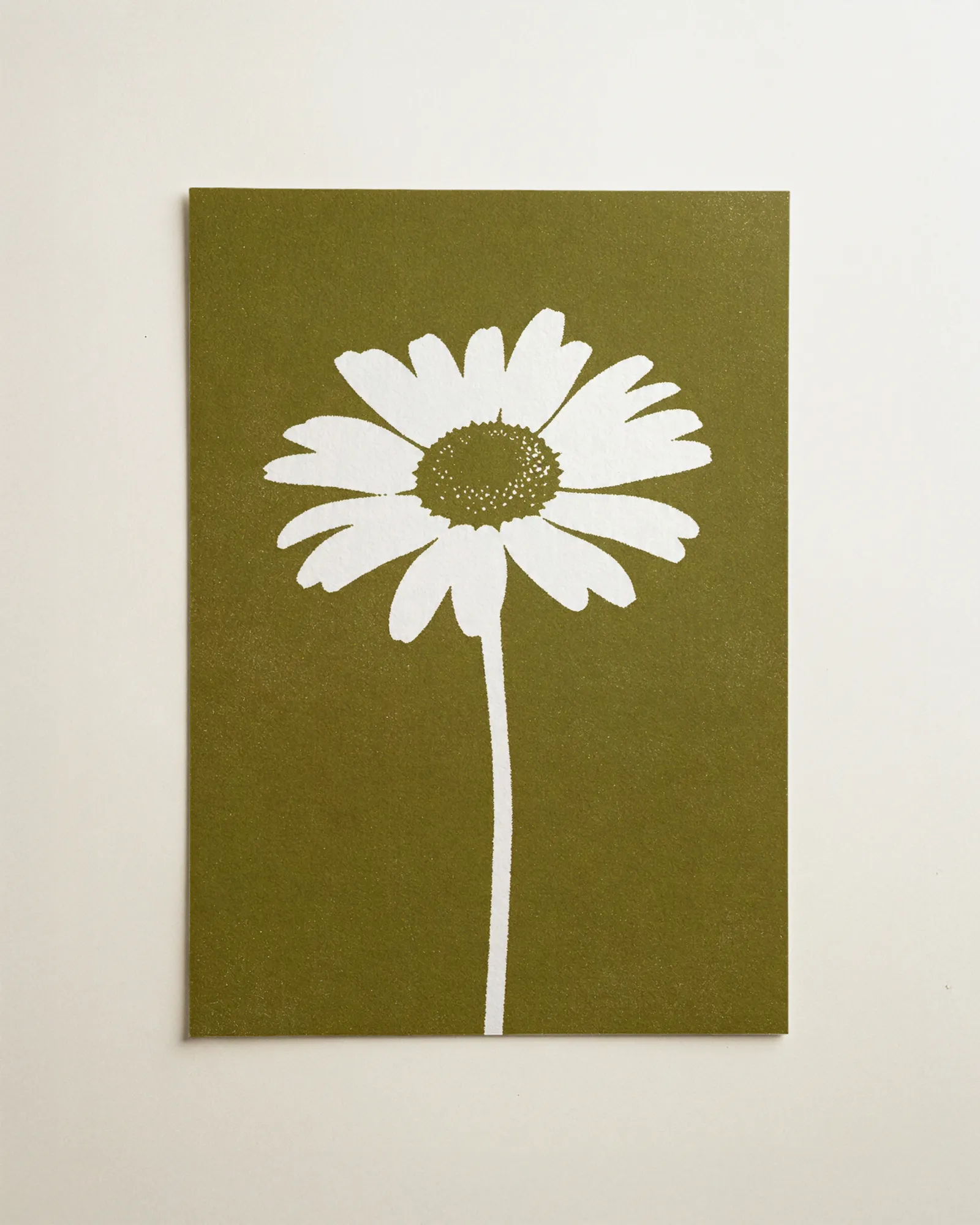 Kamille in Olive