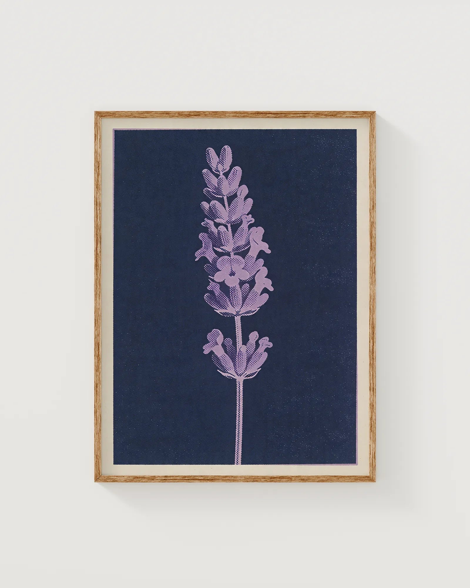 Lavender in Night Blue