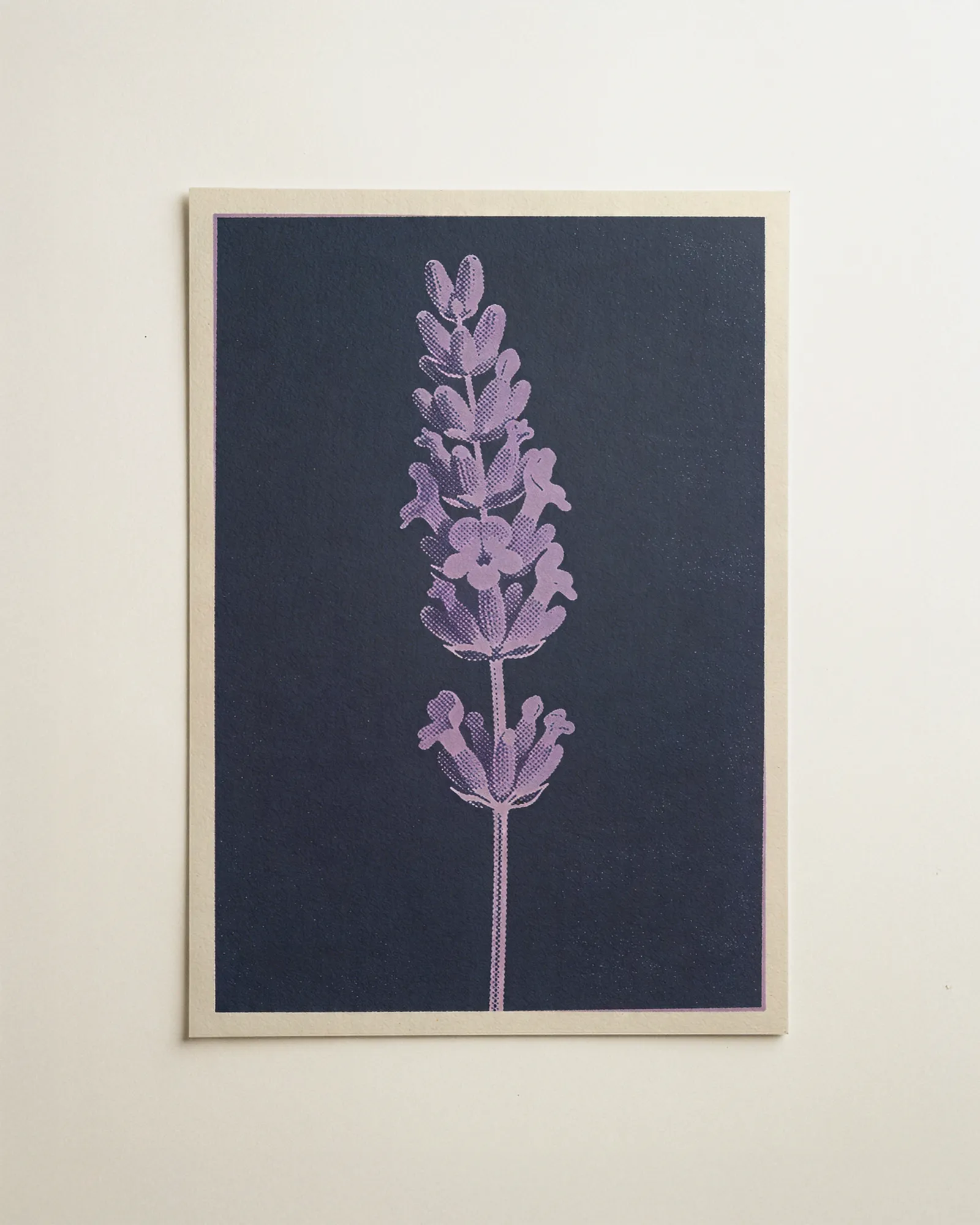 Lavender in Night Blue