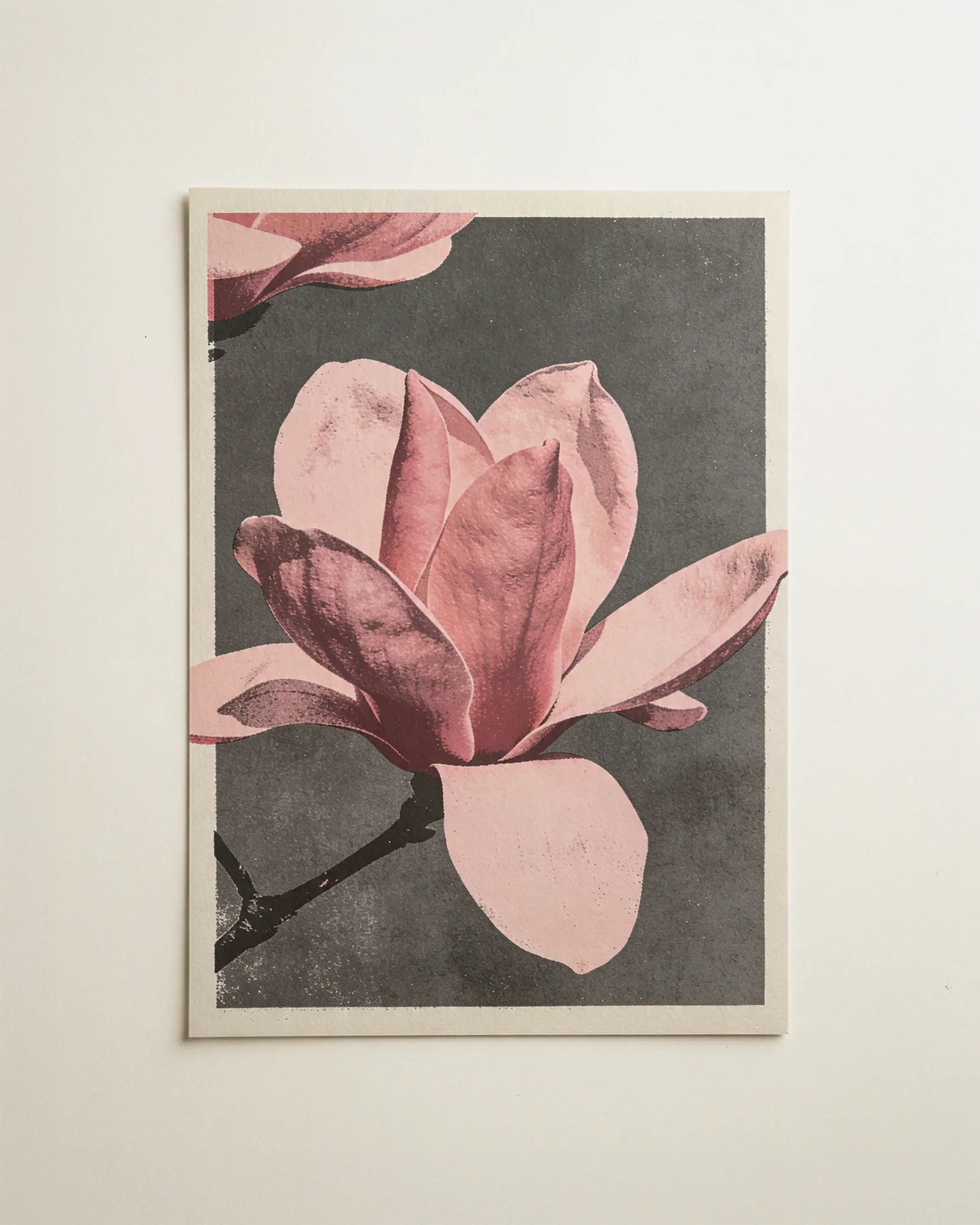 Magnolia in Grey