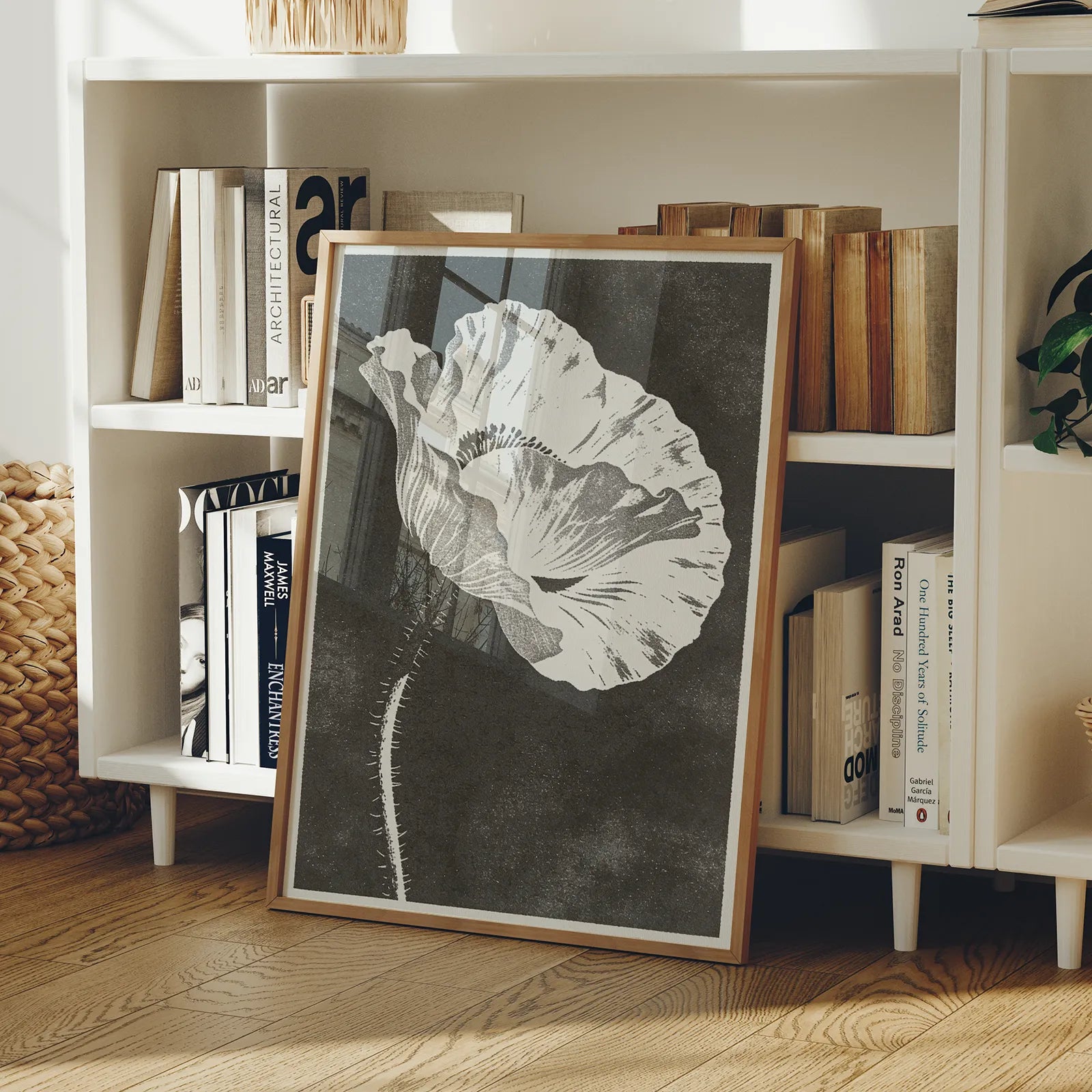 Mohnblume in Graphit