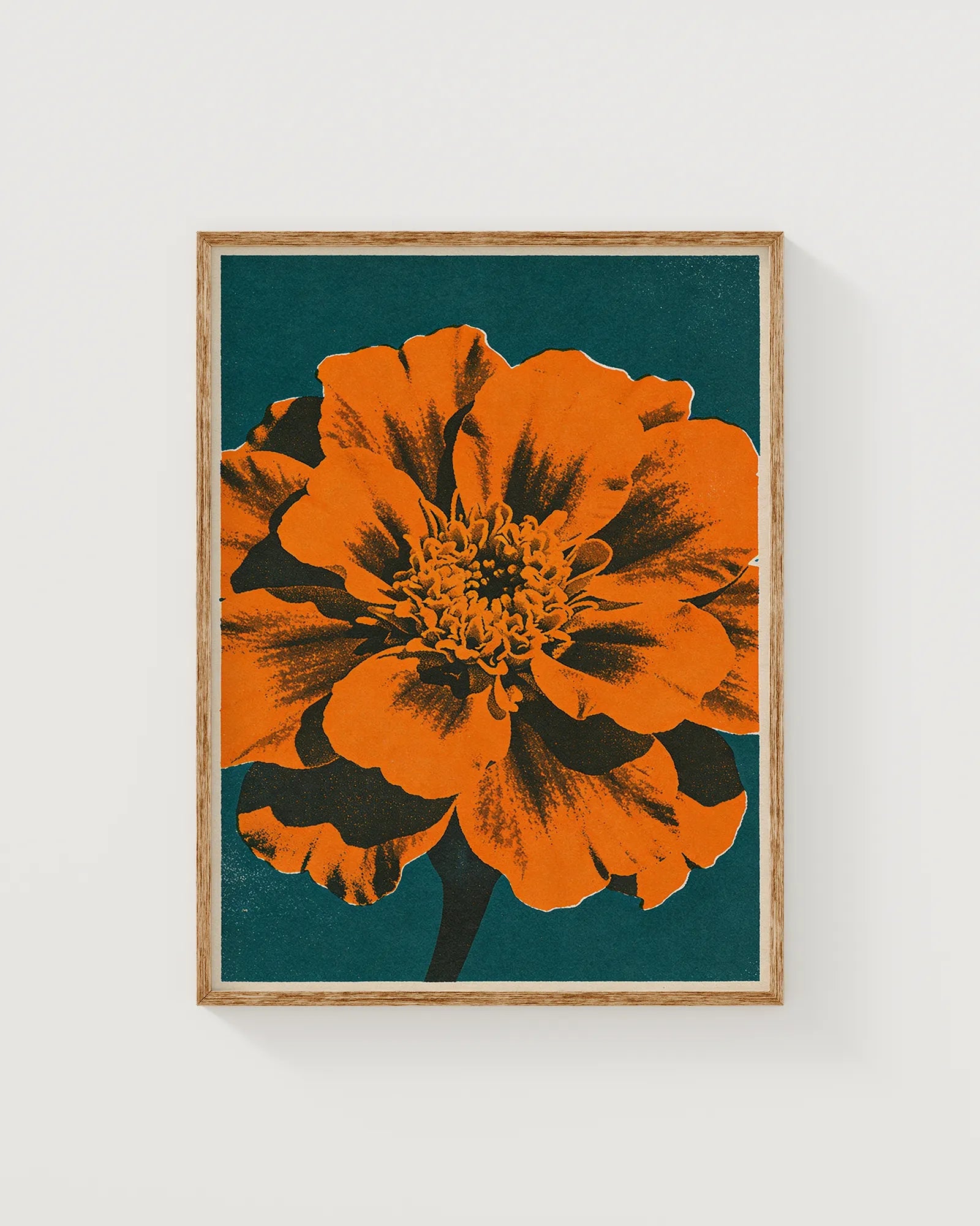 Studentenblume in Petrol
