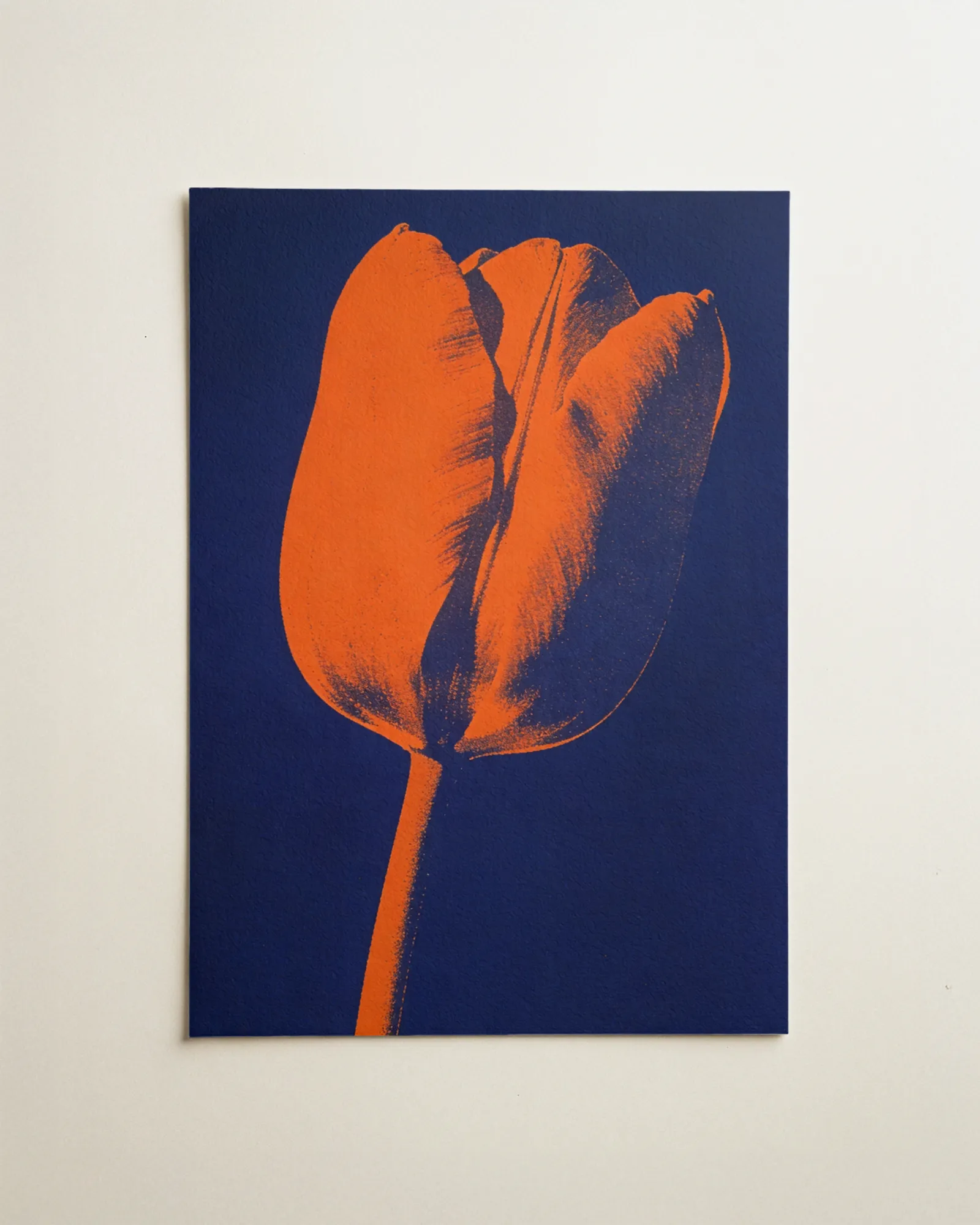 Tulpe in Indigo