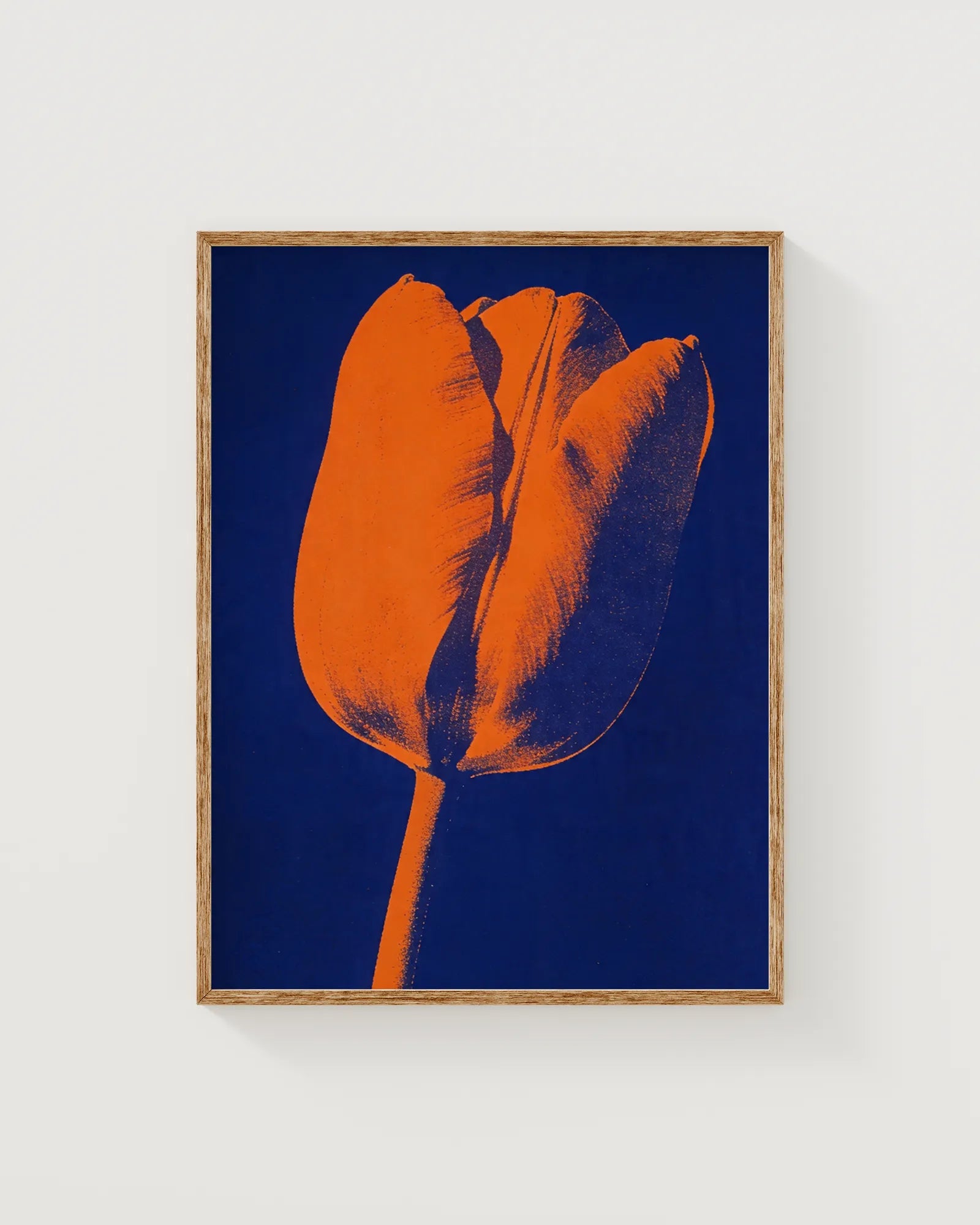 Tulpe in Indigo