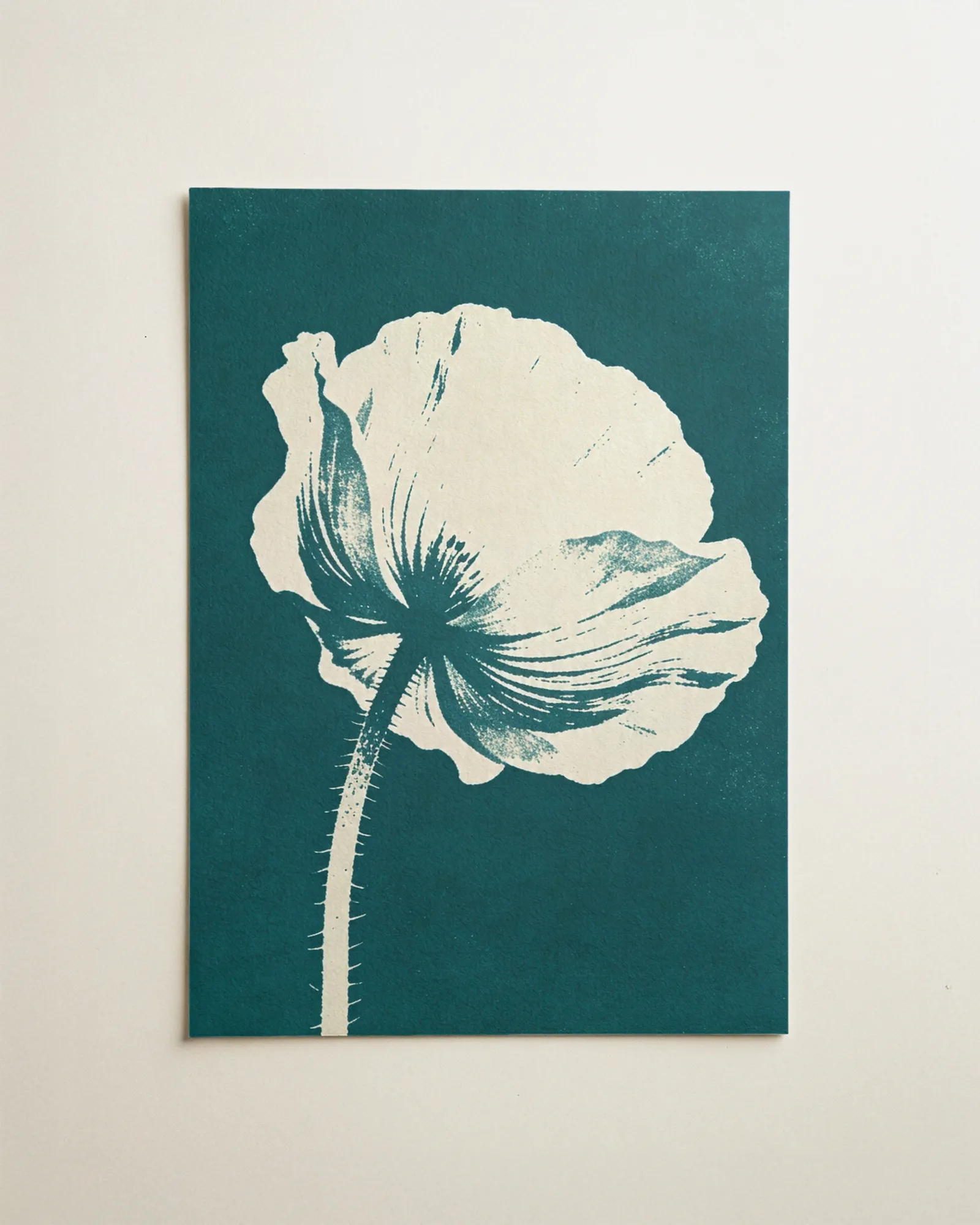 Weißer Mohn